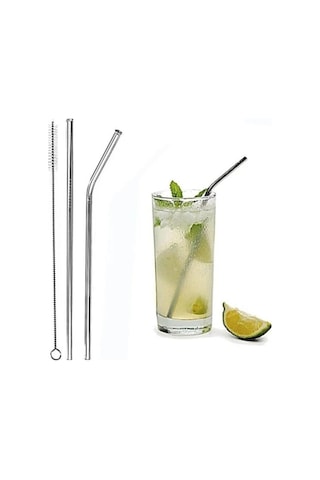 Mithra Life 2 Li Metal Paslanmaz Çelik Pipet Ve Temizleme Fırçası Mıt1116