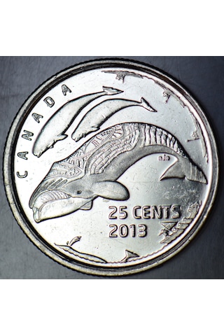 Kanada 25 Cent 2013 Hatıra-kuzey Kutbunda Yaşam-beluga Balinası.