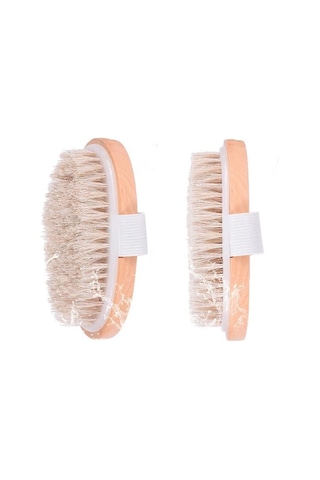 Parlak Ve Pürüzsüz Görünüm Sağlayan %100 Doğal At Kılı Selülit Fırçası Oval Diğer Çok Renkli