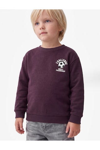 Koton Bisiklet Yaka Uzun Kollu Baskı Detaylı Şardonlu Sweatshirt Mor 7wmb10109tk