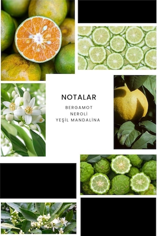 Ixora E011 Summer Man Erkek Parfüm EDP 100 ML