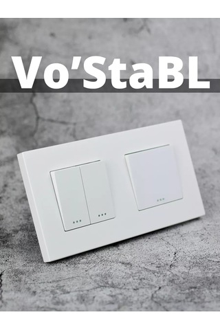 Vo'stabl Çift Kutulu Çerçevede Tek Ve Çiftli İki Anahtar 239528736