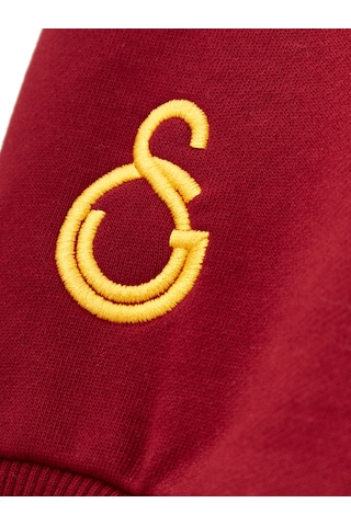 Gsstore Galatasaray Erkek Yarım Zip Hoodie E252107 Bordo