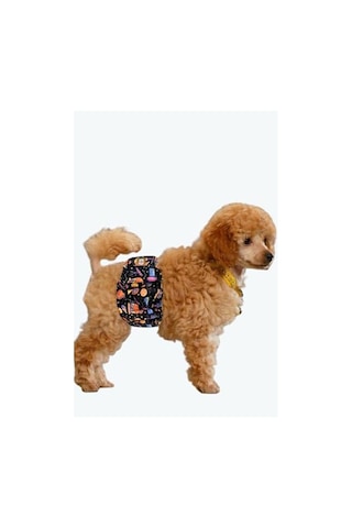 Erkek Köpek Çiş Bezleri, 3'lü Avantajlı Paket