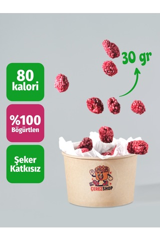 Freeze Dried Böğürtlen Dondurularak Kurutulmuş Böğürtlen %100 Doğal Katkısız Sağlıklı Atıştırmalık 30 Gr 30 G