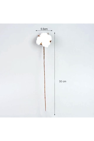 Doğal Pamuk Çiçeği Tekli Dal Kuru Yapay Çiçek 30 CM 10 'lu