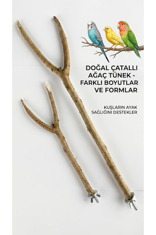 İstanbul Kafes Fırınlanmış Doğal Ağaç Tünek Kuş Tüneği Çatallı