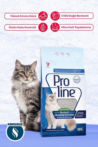 Bentonit Kedi Kumu, 10 L 2 Paketi