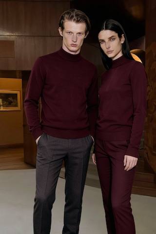 AC&Co / Altınyıldız Classics Altinyildiz Classics Erkek Bordo Standart Fit Normal Kesim Yarım Balıkçı Yaka Triko 4A4923100005BRDXL Bordo