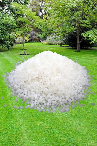 Çim Gübresi -azotlu Çim Coşturan 2kg