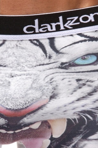 Darkzone 3D Erkek Boxer - Dzn1092