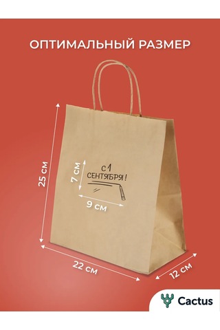 Cactus 1 Eylül İçin Süslenmiş Dekoratif Kraft Hediye Poşetleri, Kağıt 478495137