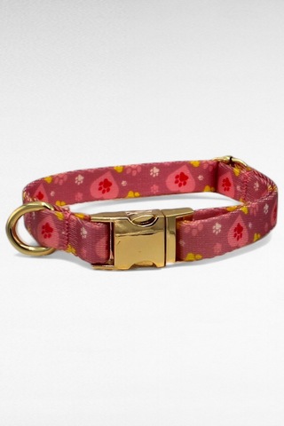 Caramelos İsimli Köpek Tasması, Yavru Köpek Tasması, Küçük Irk Köpek Tasması, Metal Kilit, 1,5 Cm Fuşya