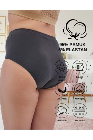 Alya Underwear Kadın Büyük Beden Külot Battal Full Brief, Yüksek Bel 5xl, 6xl, 7xl 5 Farklı Renk 1 Pakette P09