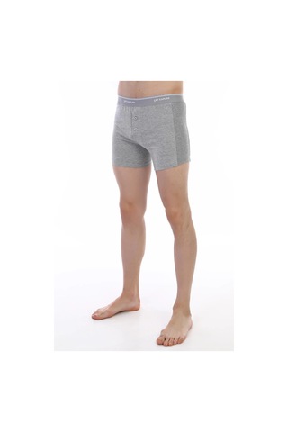 Epilons Zenvial Çift Kaplan 880 Elastanlı Erkek Boxer Zenviall2 Gri