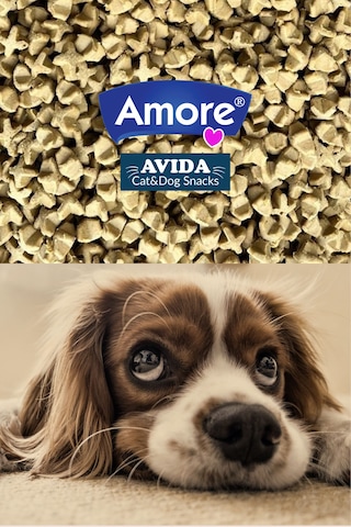 Amore Mantı Mini-dental Köpek Ödülü Chicken Bones Snacks 158 G