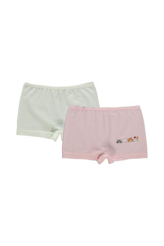 Artı Çorap-kare Tekstil Artı Çorap Catler 2'li Kız Boxer - Standart Çok Renkli