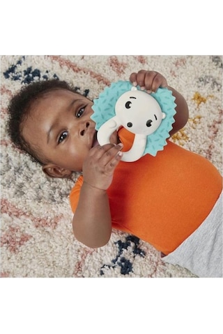 Fisher-price Hold And Jingle Hedgehog Dişlik Ve Çıngırak, 3 Ay+