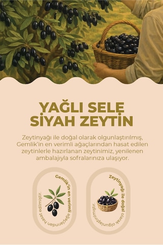 Yağlı Sele Gemlik Siyah Zeytin 300 Gr
