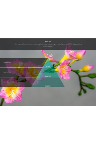 Kristal Koku Kartuşu (M5-M6)