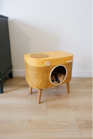 Huncar Kedi Evi Dekoratif Fotoğraf Makinesi Kedi Evi