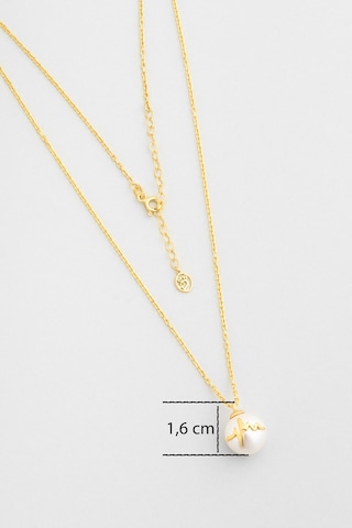 Yeni Yıl Şifa 18 Ayar Sarı Altın Kaplama 55 Cm Gümüş Kolye Sarı