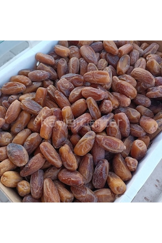 Toptan Lüks Tunus Hurma Deglet Nour 5 Kg 5 KG