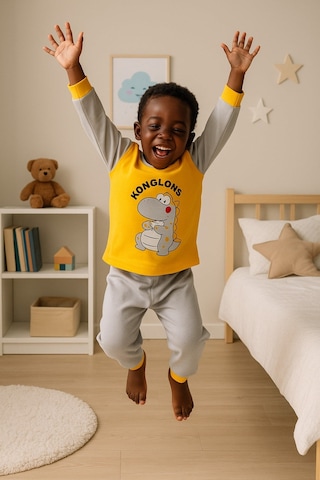 Aden Kids Çocuk Mevsimlik Penye Pijama Takımı Gri