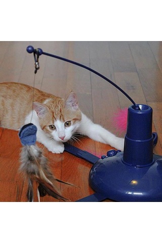 Ferplast Raptor Elektronik Kedi Oyuncağı