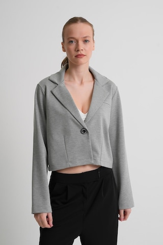 Alexander Gardi Alexandergardı Astarsız Crop Blazer Ceket Açık Gri