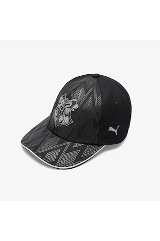 Puma X Harry Potter Dad Çocuk Siyah Şapka 026 026122 Çok Renkli