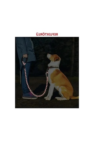 130 Cm Uzunluğunda Reflektörlü Köpek Tasması, Orta Ve Büyük Boylar İçin