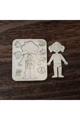 Ahşap Anatomi Puzzle Öğretici Organ Oyunu Kız/erkek