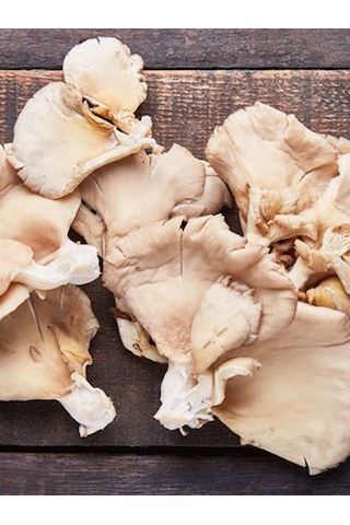 İstiridye Kavak Mantarı Tohumu Mantar Tohumu 4 Kg