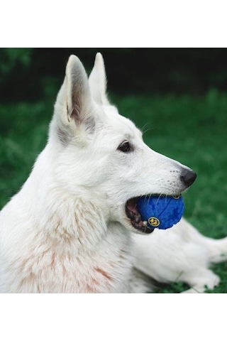 River World Köpekler İçin Mama Oyun Topu Sesli Oyuncak