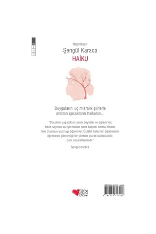 Can Çocuk - Haiku - 9789750713408