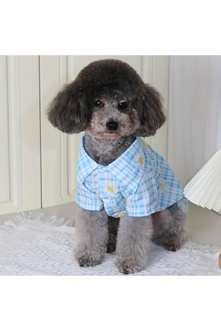 Kedi Ve Köpek İçin Papatya Tasarımlı Tshirt