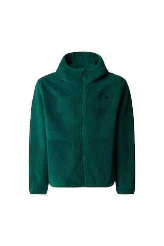 The North Face Genç Çocuk Campshıre F/Z Kapüşonlu Sweatshirt Nf0A89Kbnl11 001 Yeşil