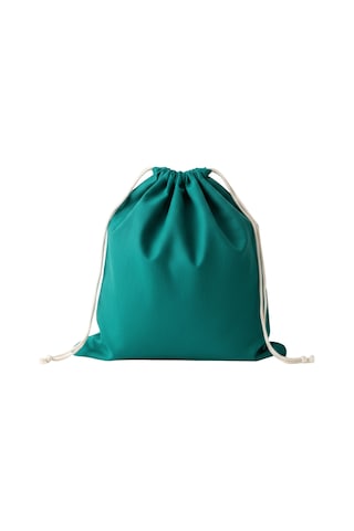 Baghashtag Yeşil Bez Kese 30 Cm X 40 Cm Diğer