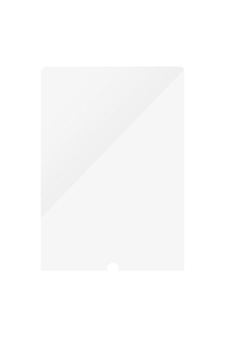 Panzerglass Apple İpad 10.2