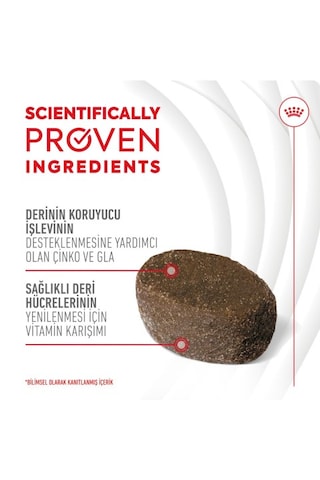 Skin&coat Chews Deri Ve Tüy Sağlığını Destekleyen Tamamlayıcı Ödül Maması 240g