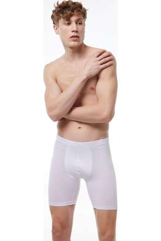 Malabadi 018 Erkek Uzun Paçalı Modal Boxer-Beyaz