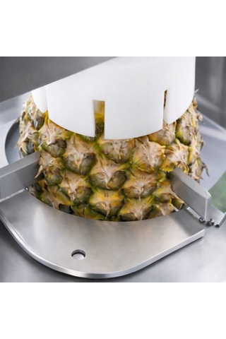 Cancan Pnömatik Endüstriyel Standlı Ananas Soyma Makinesi Can 0809