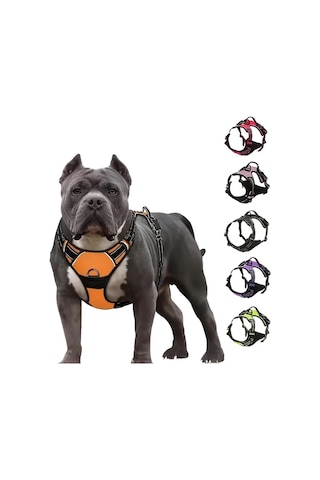 Maxaccess Kırmızı Xl Büyük Köpek Göğüs Askısı Anti Çekme Yastıklı Reflektif Tasma Klipsli Kontrol Tutamacı