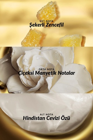 Attraction Intense Kadın Parfüm Ve Attraction Vücut Losyonu Paketi Çiçek