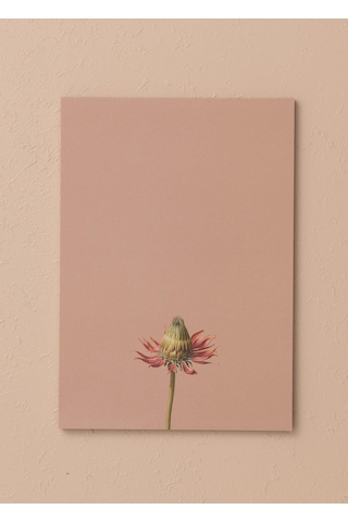 The Mia Art Line Mini Notluk Coneflower 15x21 Cm 40 Yaprak