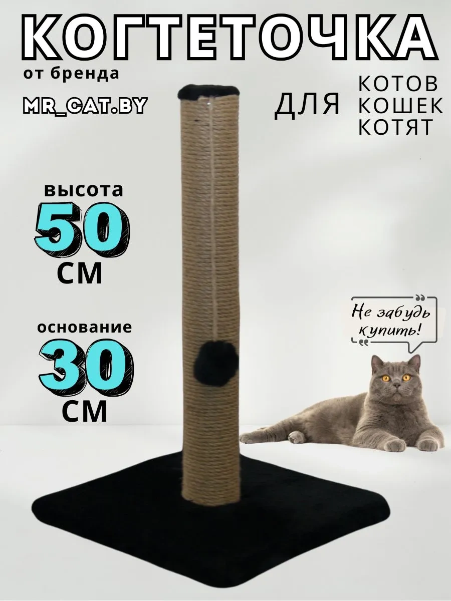 Mr Cat Tırmalama Direği 169815165