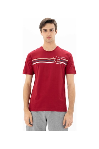 Arma Erkek Büyük Beden Bisiklet Yaka Tişört Y25344869901 Bordo