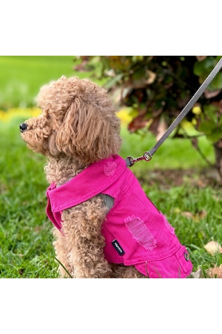 Yeni - Fuşya Renk Kot Köpek Yeleği - Küçük Irklar İçin Şık Ve Rah
