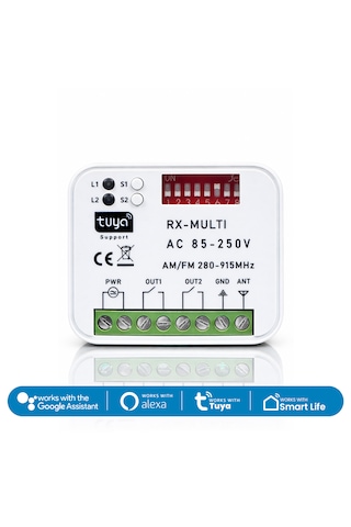 Alpsmart As865 Wi-fi Ve 433 Mhz Akıllı Tuya Destekli Bariyer, Kayar Kapı, Kepenk Kontrol Kartı Çift Kanal